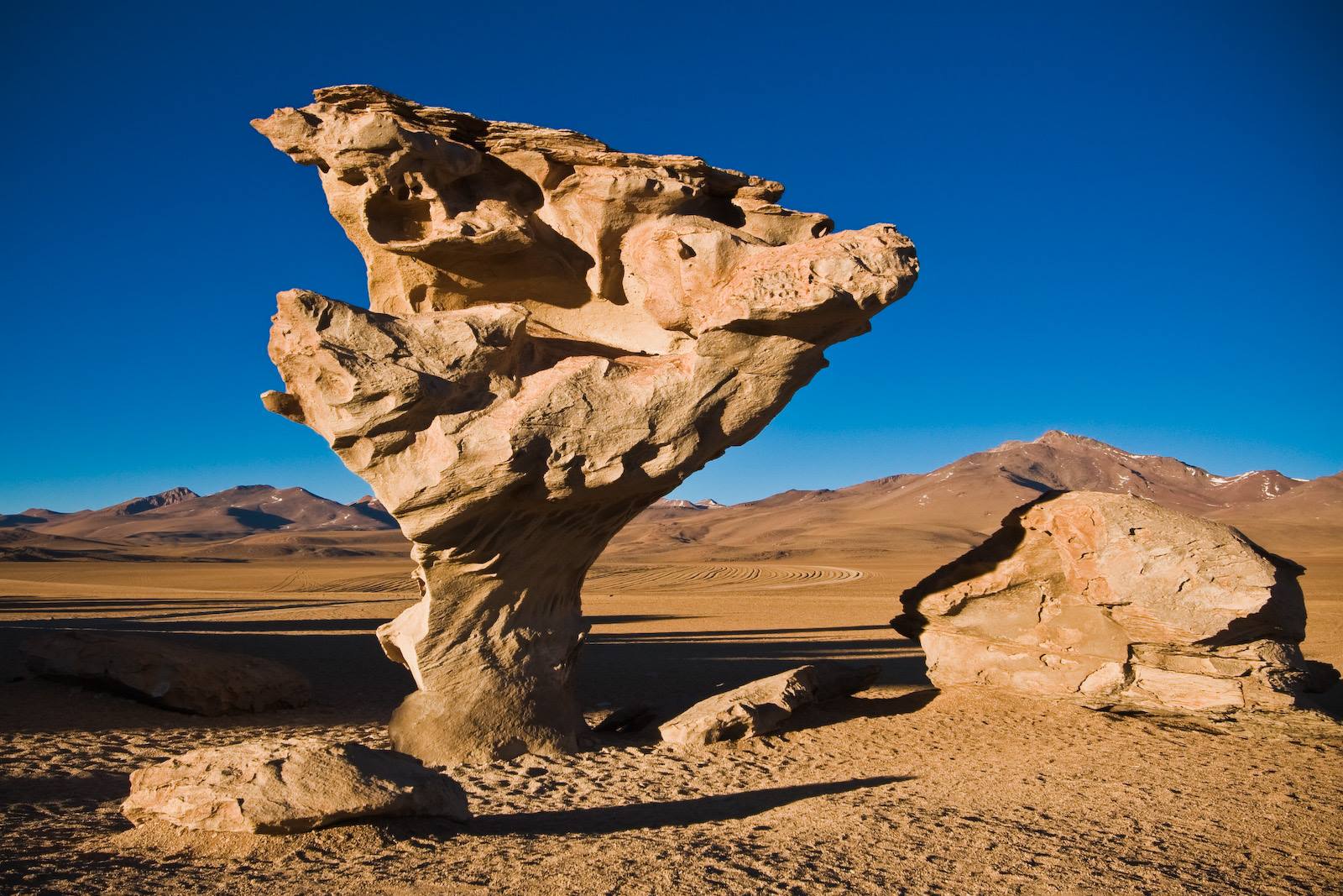 Salar-de-Uyuni arbol de piedra