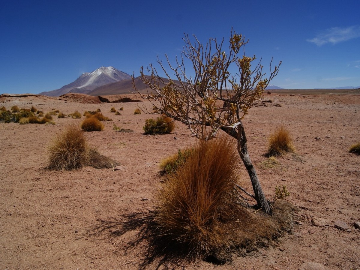 uyuni 4