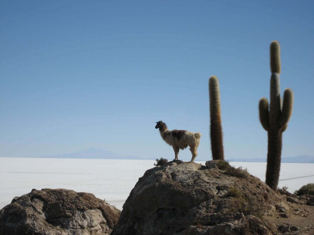 uyuni 5